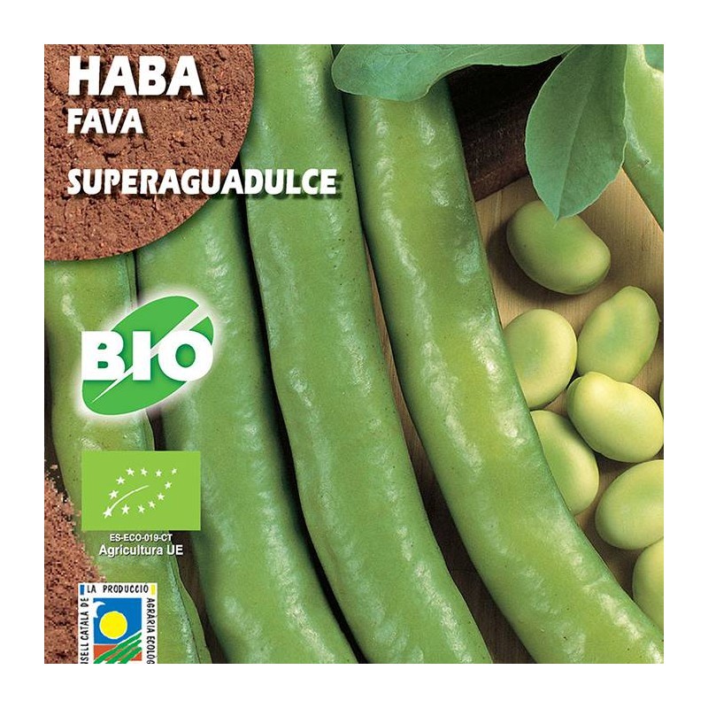 Semillas ecológicas haba superaguadulce