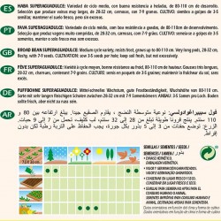 Semillas ecológicas haba superaguadulce