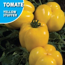 Semillas tomate yellow stuffer