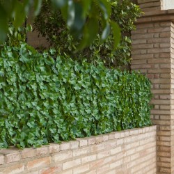 Seto Artificial Nius