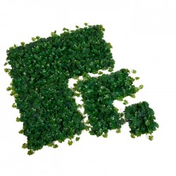 Seto Artificial Nius