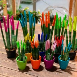 Sansevieria spaguetti decorada