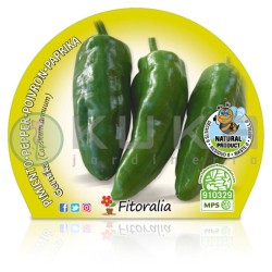 Pimiento de Gernika...