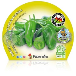 Pimiento padrón dulce...