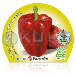 Pimiento rojo Certificado...