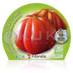 Tomate corazón de buey...
