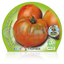Tomate ensalada híbrido...