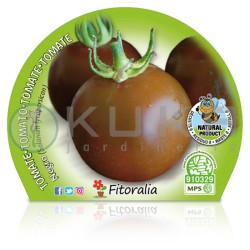 Tomate negro Certificado M.P.S