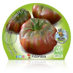 Tomate negro de Crimea...