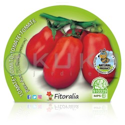 Tomate pera mata alta...