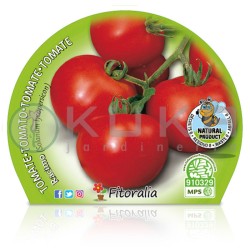Tomate racimo Certificado...