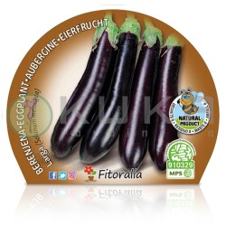 Berenjena larga negra...