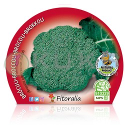 Brócoli italica Certificado...
