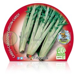 Cardo Certificado M.P.S