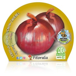 Cebolla Figueres...