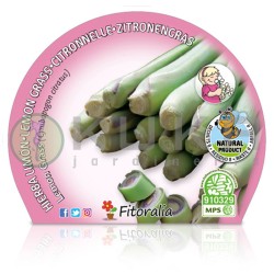Citronela Certificado M.P.S