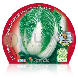 Col china Certificado M.P.S