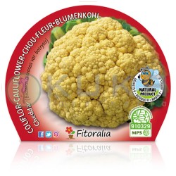 Coliflor cheddar...