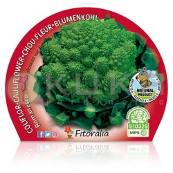 Coliflor romanesco...