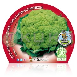 Coliflor verde Certificado...