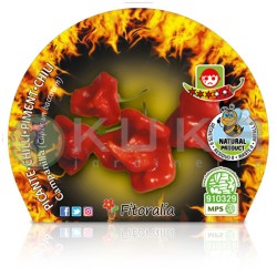 Guindilla picante...