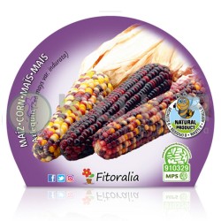 Maíz de colores Certificado...