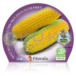 Maíz dulce Certificado M.P.S.