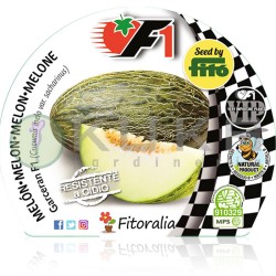 Melón híbrido garceran...