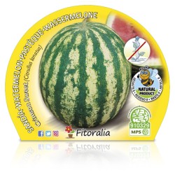 Sandia rayada crimsoN sweet...