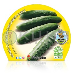 Pepino Certificado M.P.S