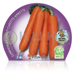 Zanahoria Certificado M.P.S