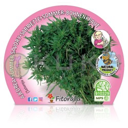 Ajedrea Certificado M.P.S