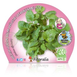 Melissa officinalis...