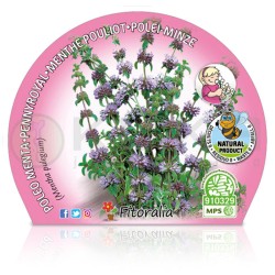 Mentha poleo Certificado M.P.S