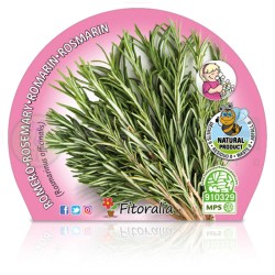 Romero officinalis...
