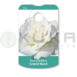 Rosal grand nord