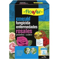 Enfermedades de los rosales
