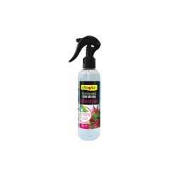Vigorizante foliar Tillandsia