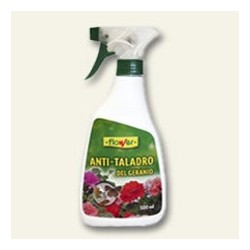 Antitaladro del geranio