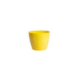 Vaso