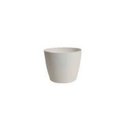 Vaso