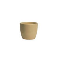 Vaso
