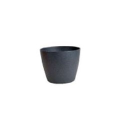 Vaso