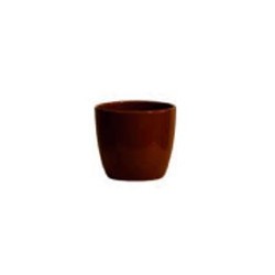 Vaso