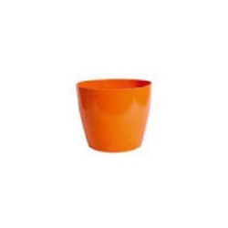 Vaso