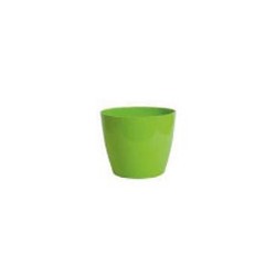 Vaso