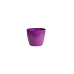 Vaso