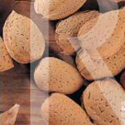 Almendro Guara