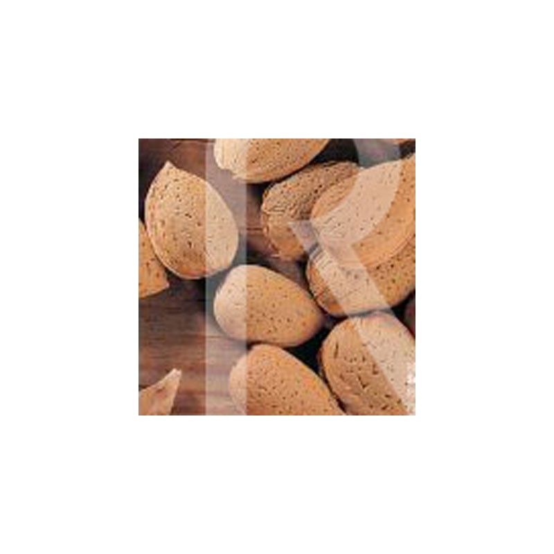 Almendro Guara