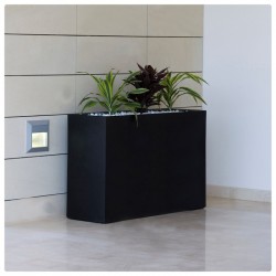 Wall